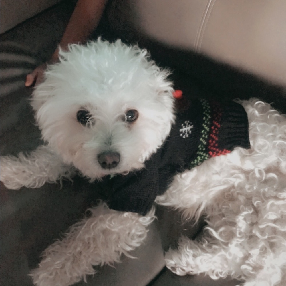 Meet your Posher, Maria